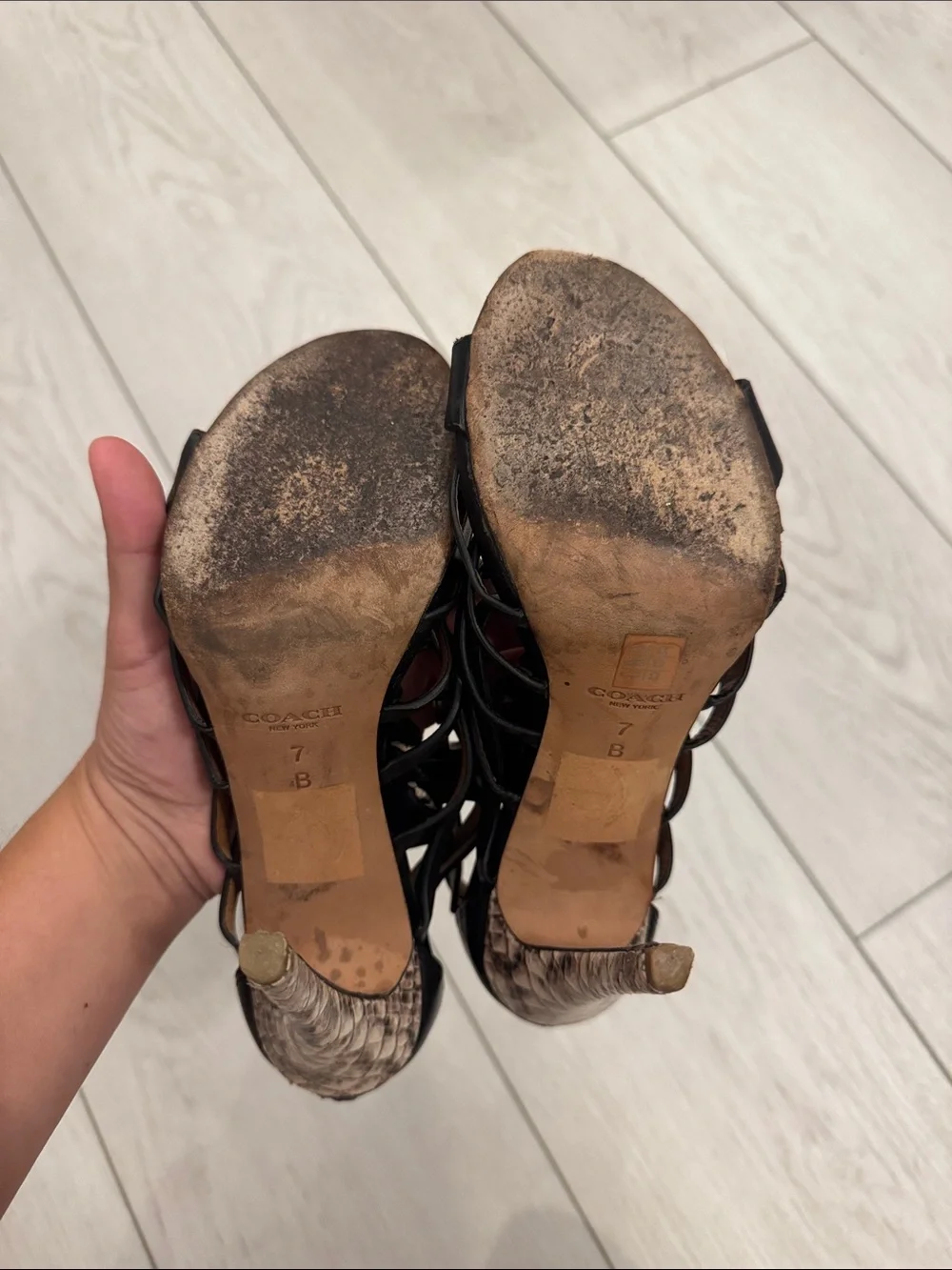 Coach heels
